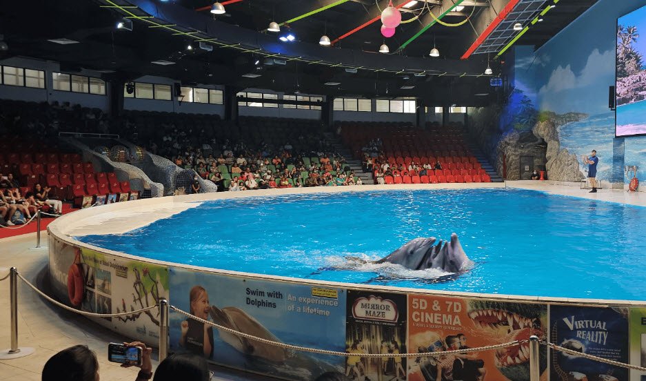 Dubai Dolphinarium